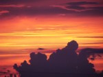 Twilight in my&nbsp;backyard