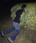 Guy-Passed-Out-In-A-Bush