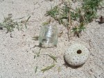 Seaglass and sea&nbsp;urchin