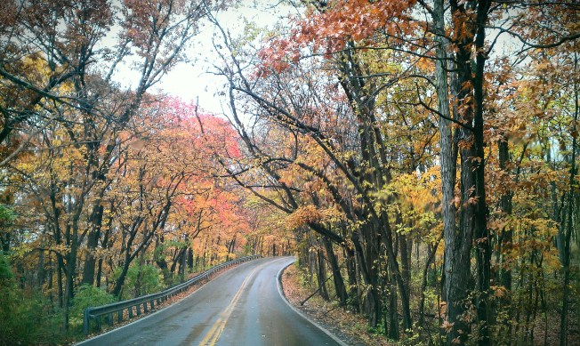 Fall in the Midwest