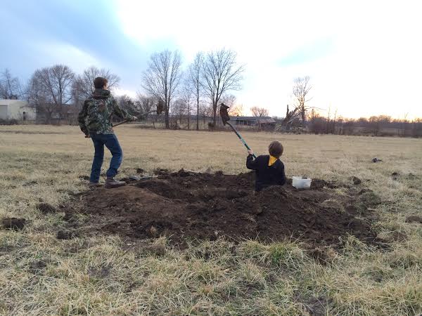 Finally, something they can do together without fighting!