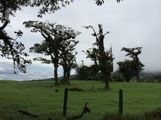 Farmland - drive from San Jose to La Virgen