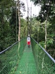 Canopy Bridge, Tirimbina Rainforest, Costa&nbsp;Rica