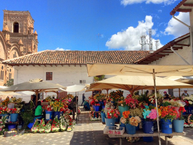 How do I get these home on the plane?