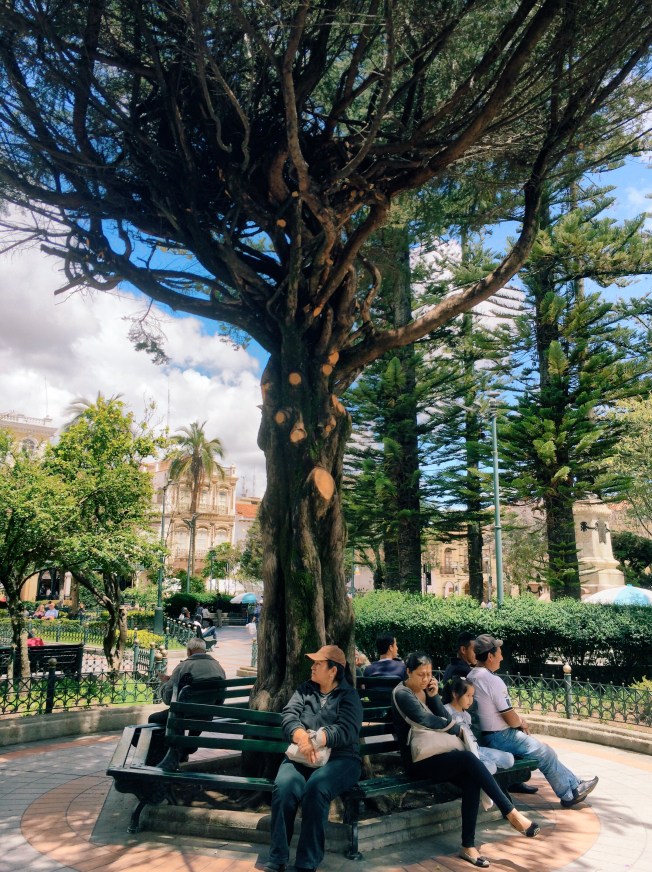 Parque Calderon: The place to chill.