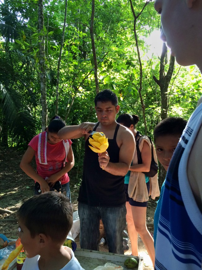 Roberto Barrios Falls, Mexico