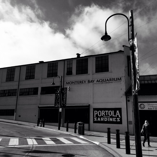 The Aquarium, Cannery Row