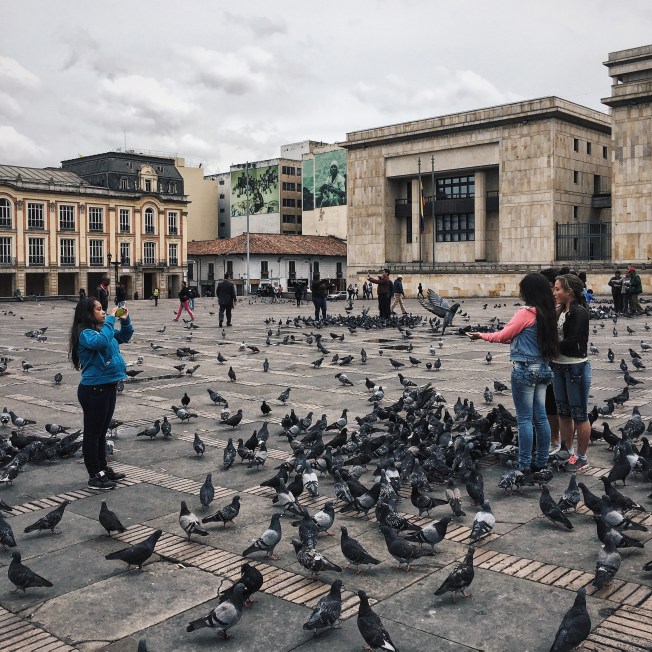 Processed with VSCO with hb2 preset