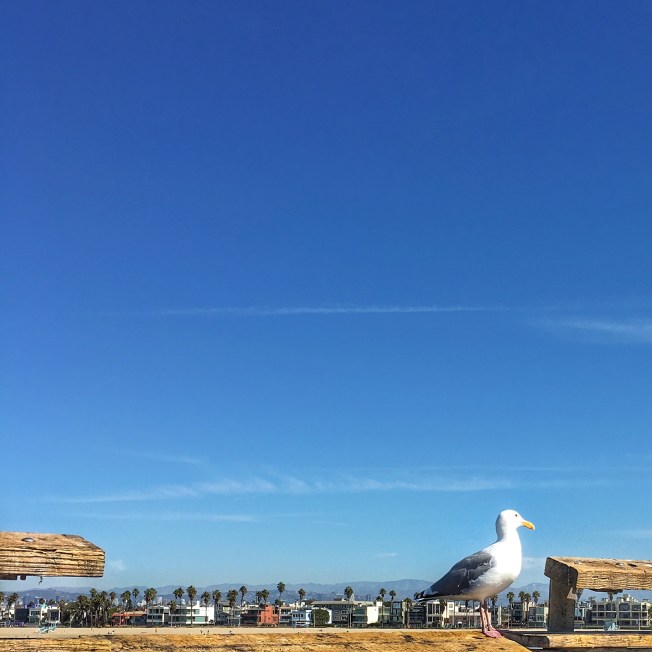 Processed with Snapseed.