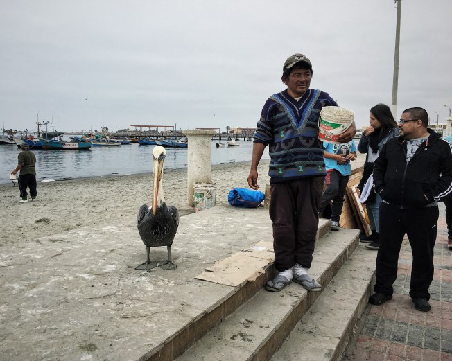 Processed with VSCO with n1 preset