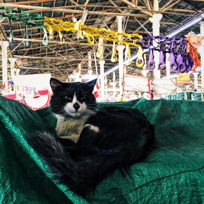 Processed with VSCO with g2 preset