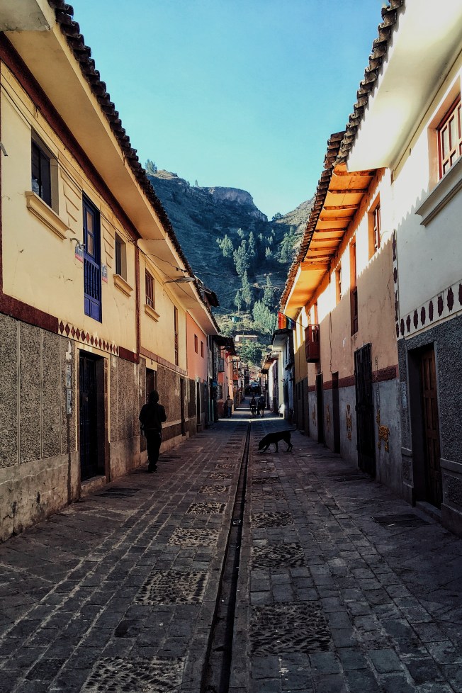 Processed with VSCO with q4 preset